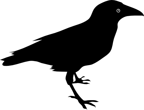 :raven_1: