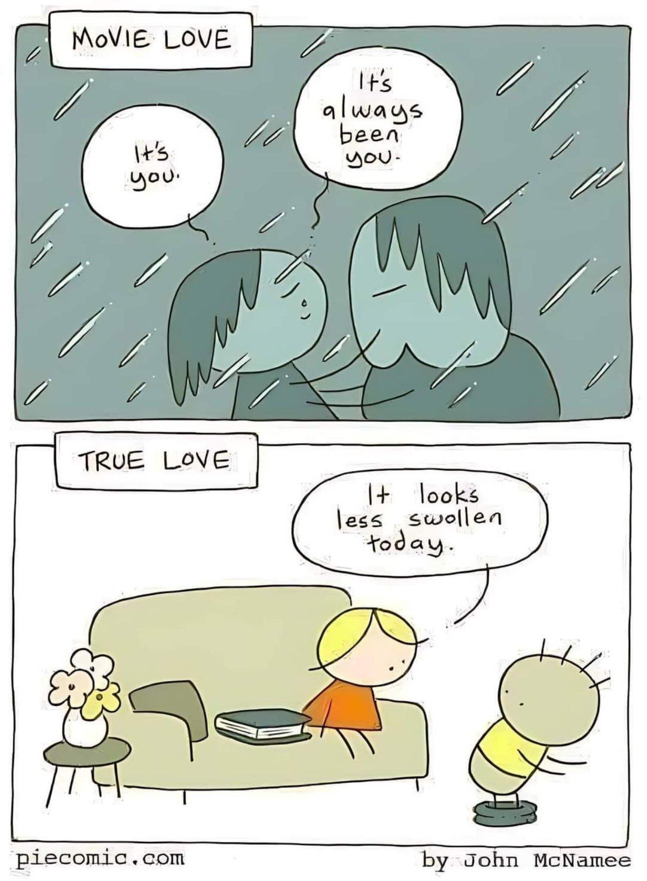 Comic in two panels. First panel is captioned "Movie love", two persons are standing in the rain, holding each other and looking at each other longingly. One says "It's you." the other one replies: "It's always been you."
Second panel, captioned "True love": a person is sitting on a sofa and is looking at another person's butt, which they present while standing in front of them. The person looking says "It looks less swollen today." Comic in two panels. First panel is captioned "Movie love", two persons are standing in the rain, holding each other and looking at each other longingly. One says "It's you." the other one replies: "It's always been you."
Second panel, captioned "True love": a person is sitting on a sofa and is looking at another person's butt, which they present while standing in front of them. The person looking says "It looks less swollen today."