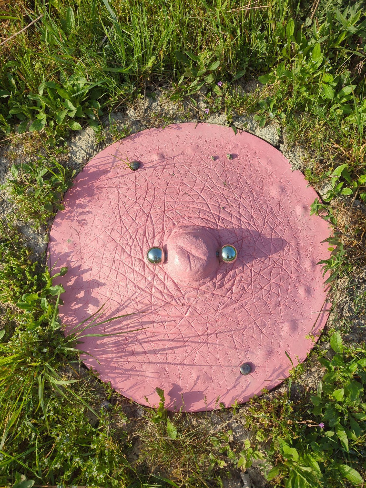 Photograph of a man hole cover, surrounded by grass. The cover has been painted pink like a human nipple, in the middle there's even a shiny metallic piercing through it. The detail on the nipple surface is astounding, right down to the little lines and creases. Photograph of a man hole cover, surrounded by grass. The cover has been painted pink like a human nipple, in the middle there's even a shiny metallic piercing through it. The detail on the nipple surface is astounding, right down to the little lines and creases.