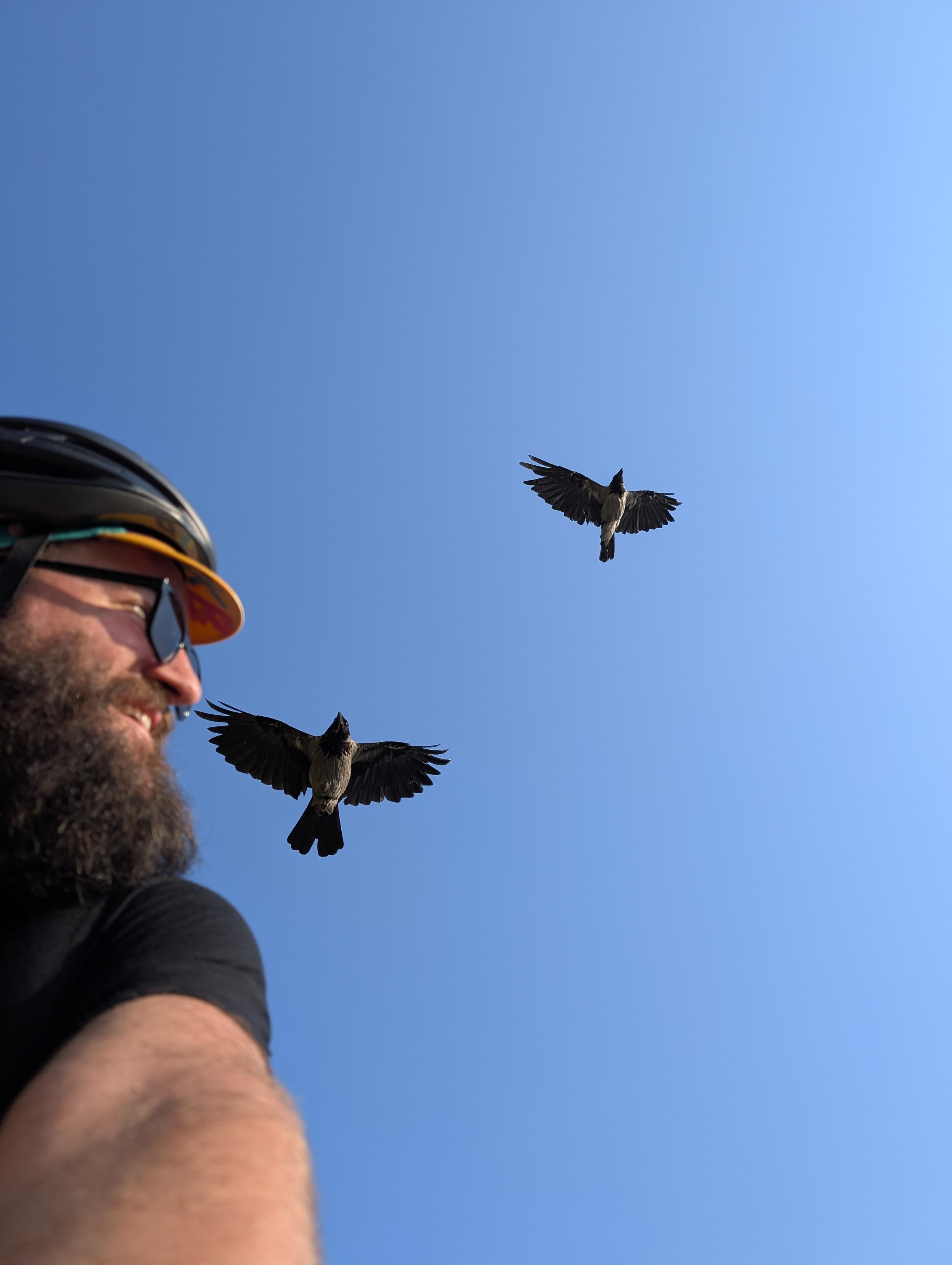 Foto von mir (Mann mit Vollbart, Sonnenbrille, schwarzer Helm, schwarzes Shirt) von vorne unten, ich bin links abgeschnitten im Bild und sehe lächelnd nach rechts. Hinter und über mir sind zwei große Krähen im Flug vor wolkenfreiem blauen Himmel.